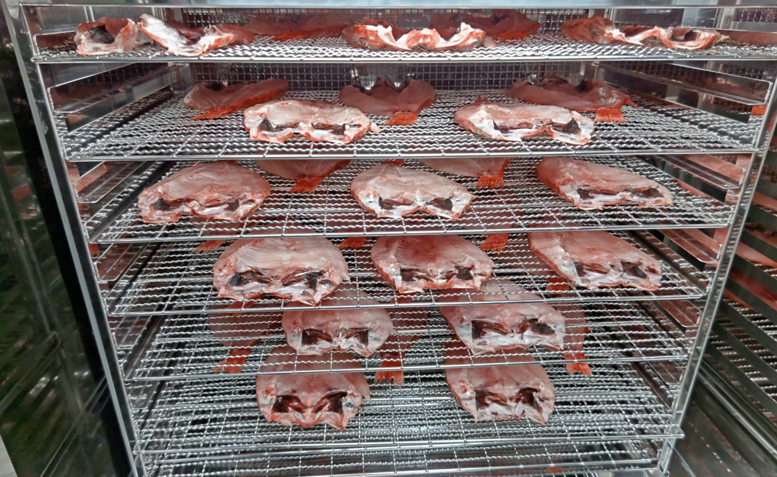 Low-temperature cold air dryer, Taste Modifier