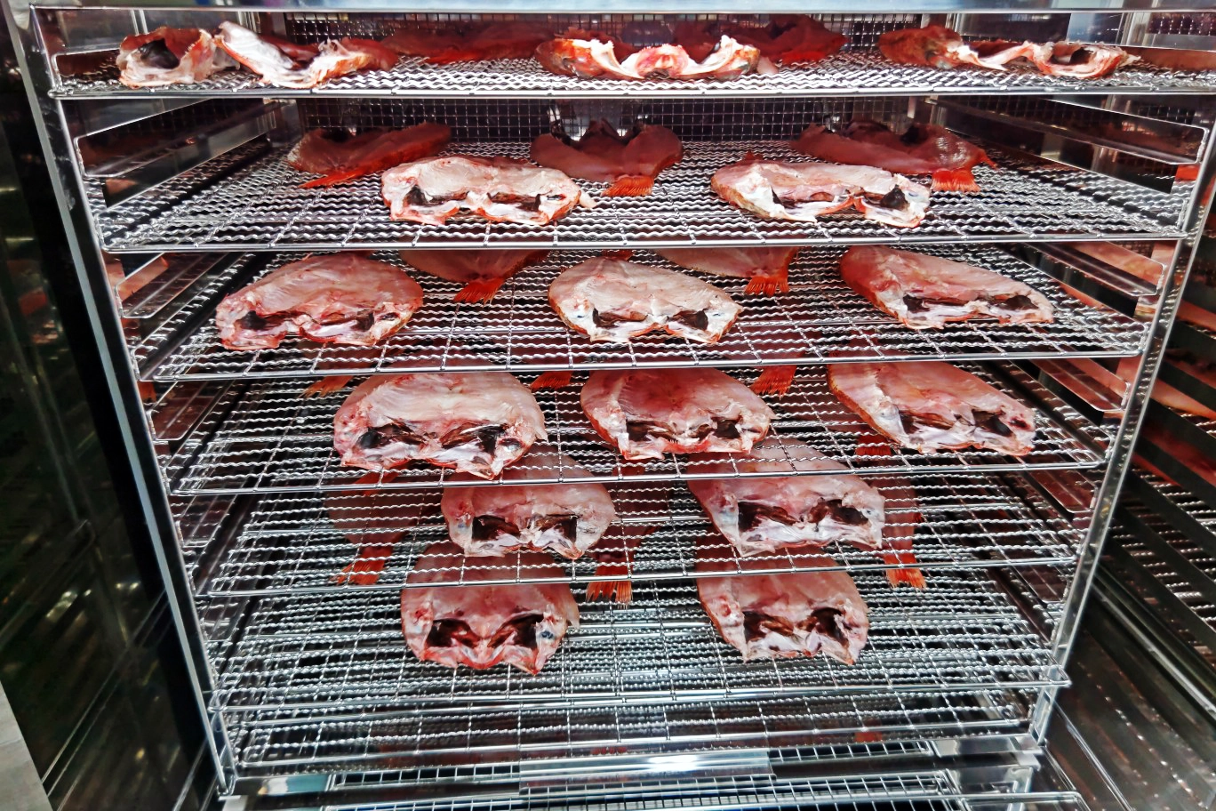 Low-temperature cold air dryer, Taste Modifier